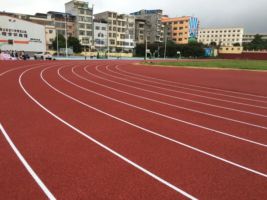 武威市橡胶跑道塑胶跑道材料 - 推荐